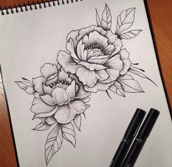 Цветы черной ручкой