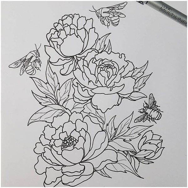 Пионы карандашом