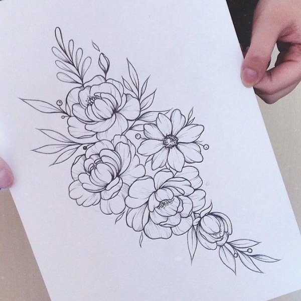 Пионы эскизы на бумаге