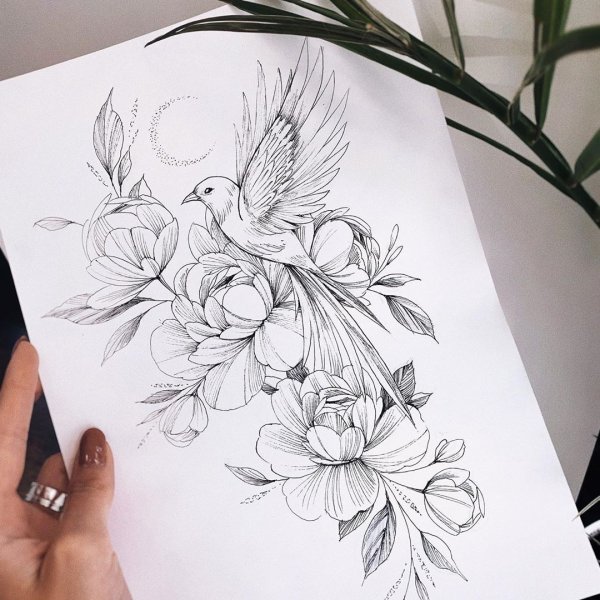 Эскиз тату птица с цветами