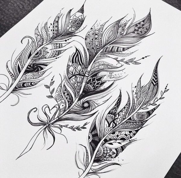 Перо Графика