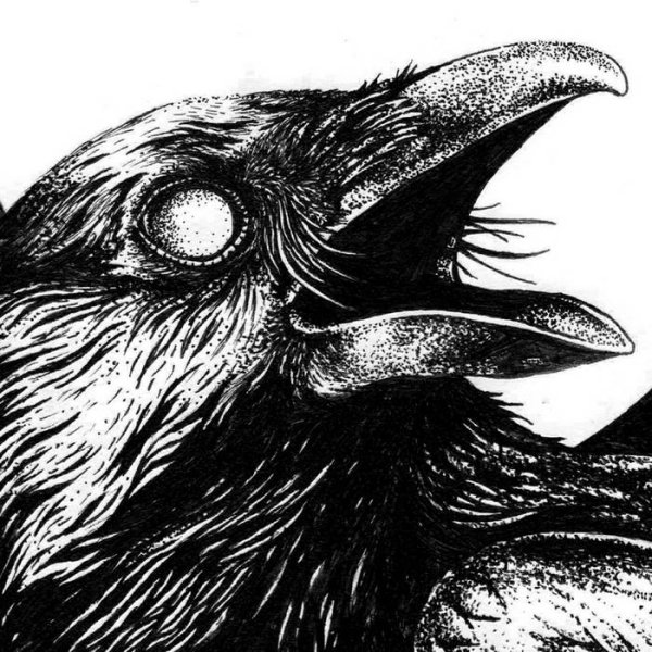 Ворона ручкой