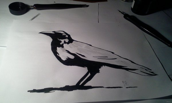 Ворон ручкой