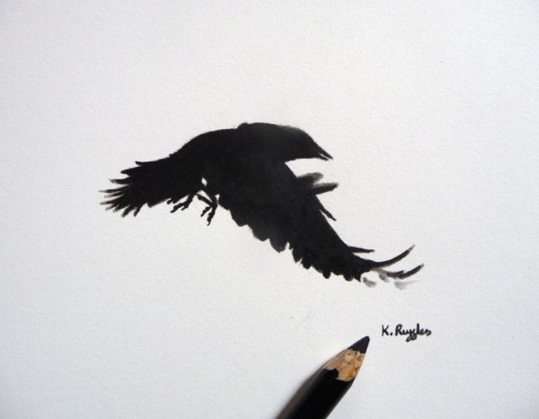 Ворон Минимализм в полете