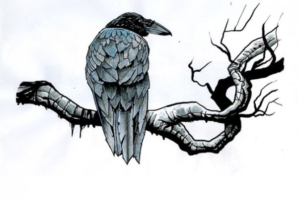 Ворон на ветке тату эскиз