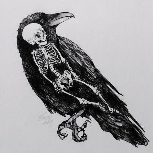Ворон на черепе