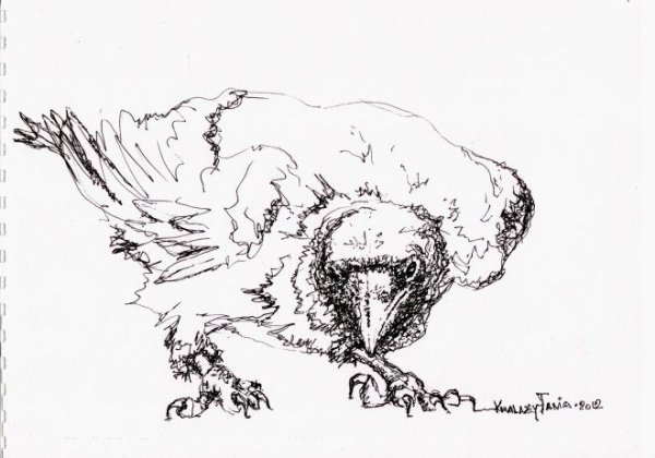 Наброски животных ручкой