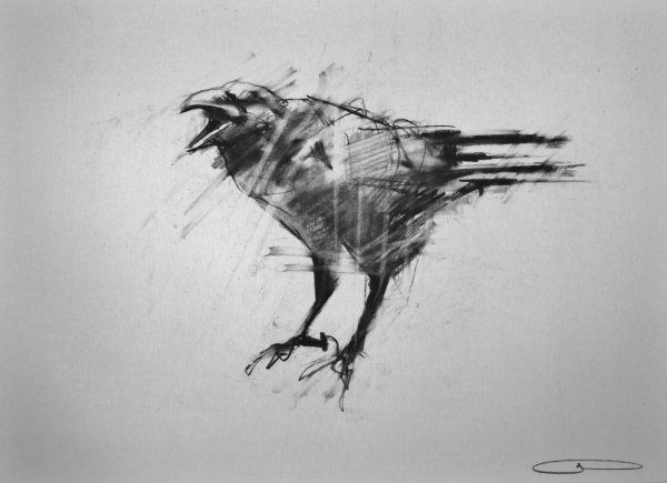 Ворона тушью