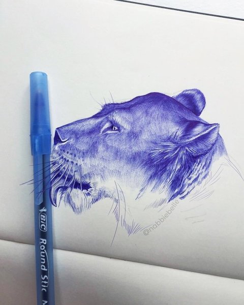 Рисунки ручкой