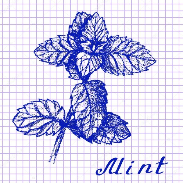 Цветы ручкой в тетради