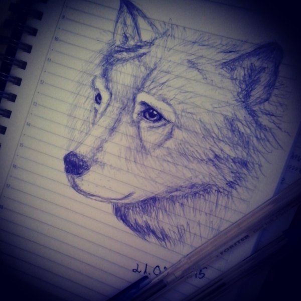 Волк ручкой