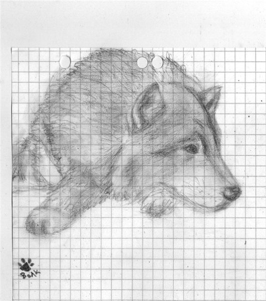 Рисунок карандашом на клетчатом листе