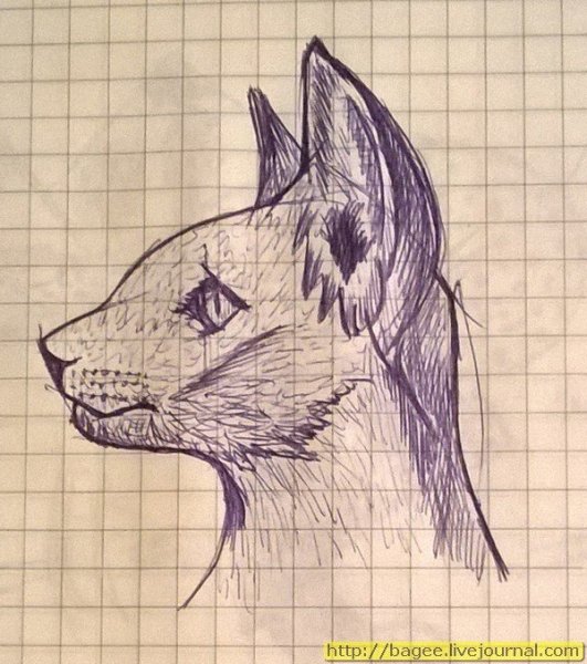 Лёгкие рисунки ручкой в тетради