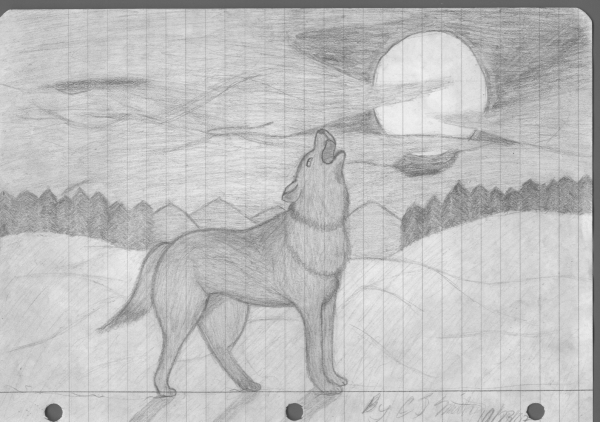 Оскал волка картинки карандашом для срисовки