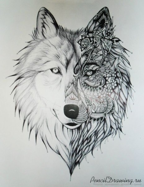Волк черной ручкой