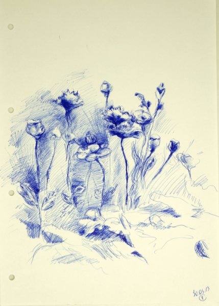 Цветы шариковой ручкой