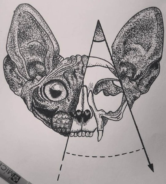 Рисунки чёрной ручкой