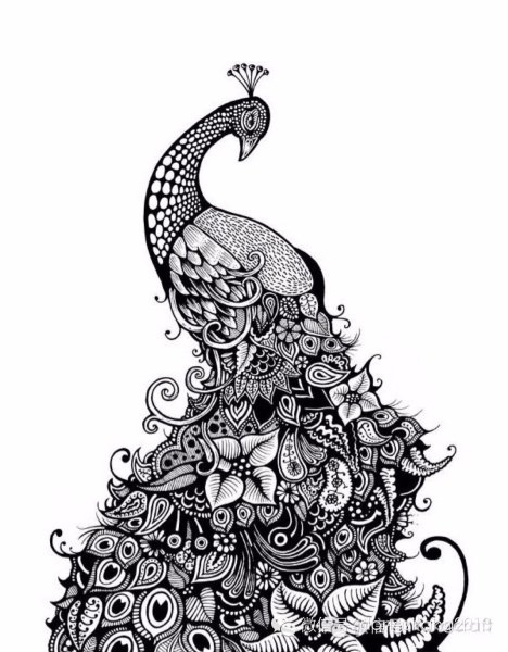 Зентангл Павлин