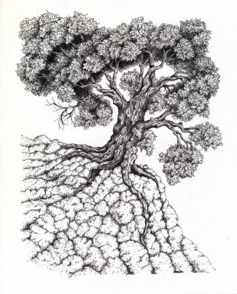 Дерево гелевой ручкой рисунок