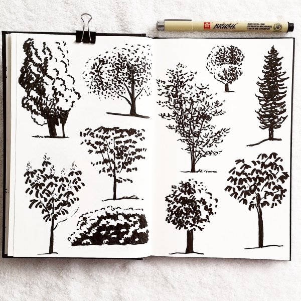 Дерево черной ручкой