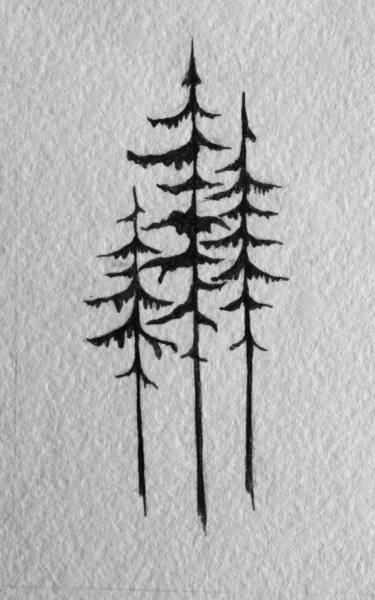 Дерево черной ручкой