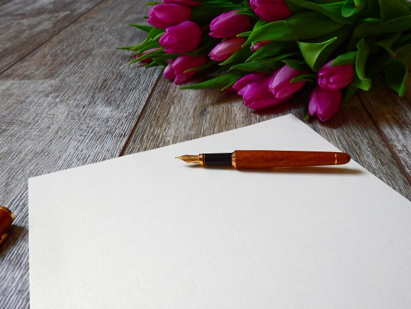 Перо бумага цветы