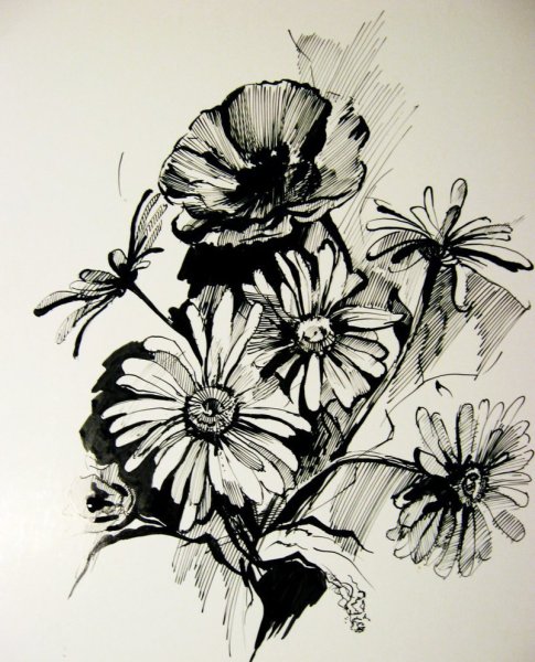 Рисунки тушью