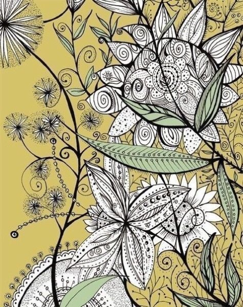 Зенарт цветы