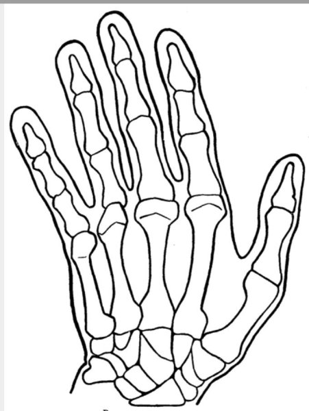 Рука скелета на руке