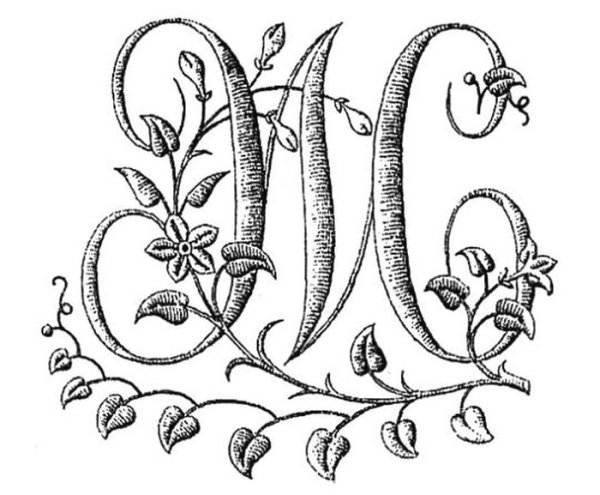 Буквы с узорами