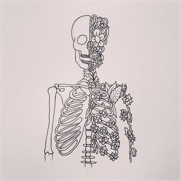 Рисунки для срисовки лёгкие скелет