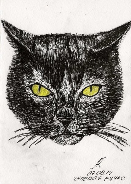 Кошка гелевой ручкой