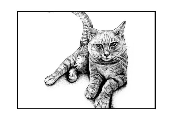 Кот черной гелевой ручкой