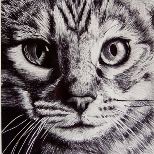 Кошка гелевой ручкой