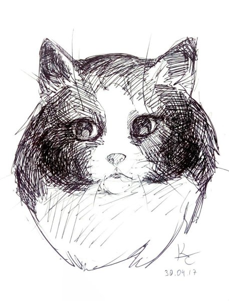 Кошка Графика