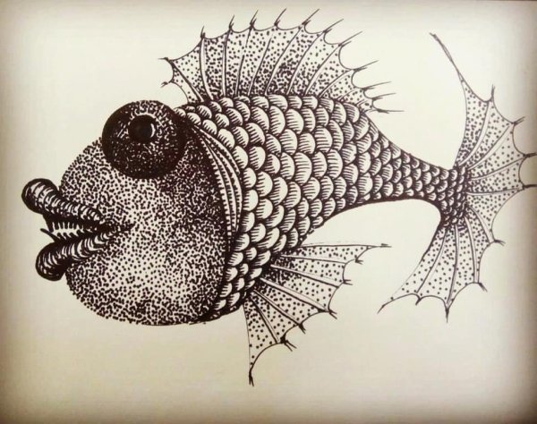 Графические рыбки