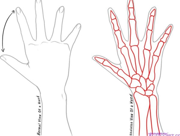 Коррекция линий на ладони