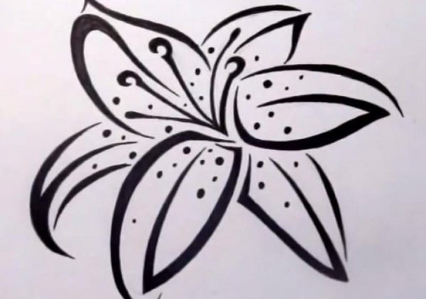 Цветы черной ручкой