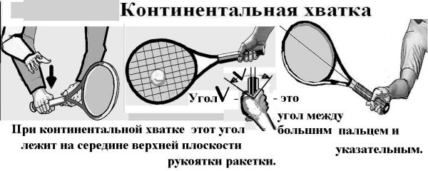 Континентальная хватка ракетки