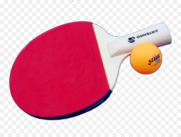 Настольный теннис ракетка и мяч