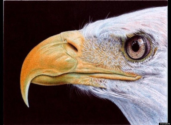 Художник-самоучка Самуэль Сильва