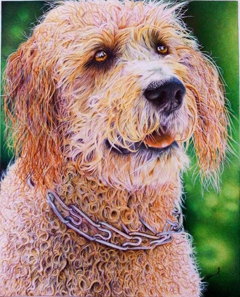 Картина Самюэля Сильве