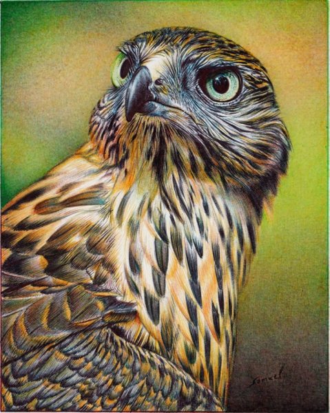 Самуэль Сильва португальский художник