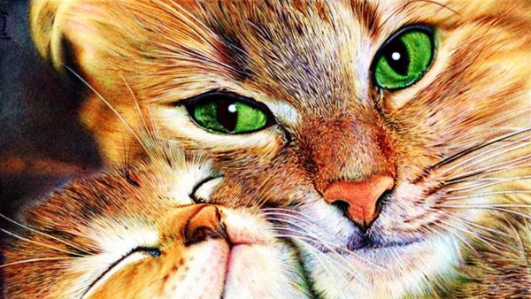 Картины шариковой ручкой Самуэль Сильва