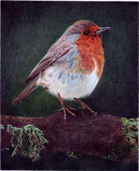 Самуэль Сильва художник