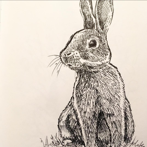 Кролик гелевой ручкой