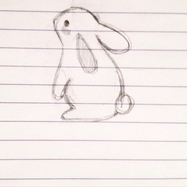 Мордочка зайца карандашом