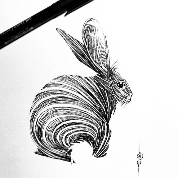 Рисунок кролика для срисовки