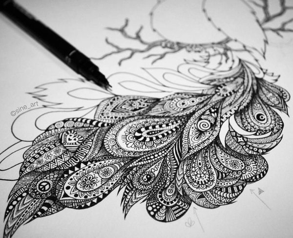 Зентангл Павлин