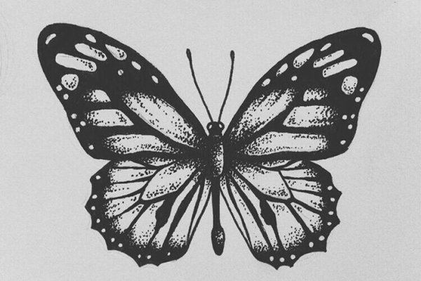 Бабочка Графика